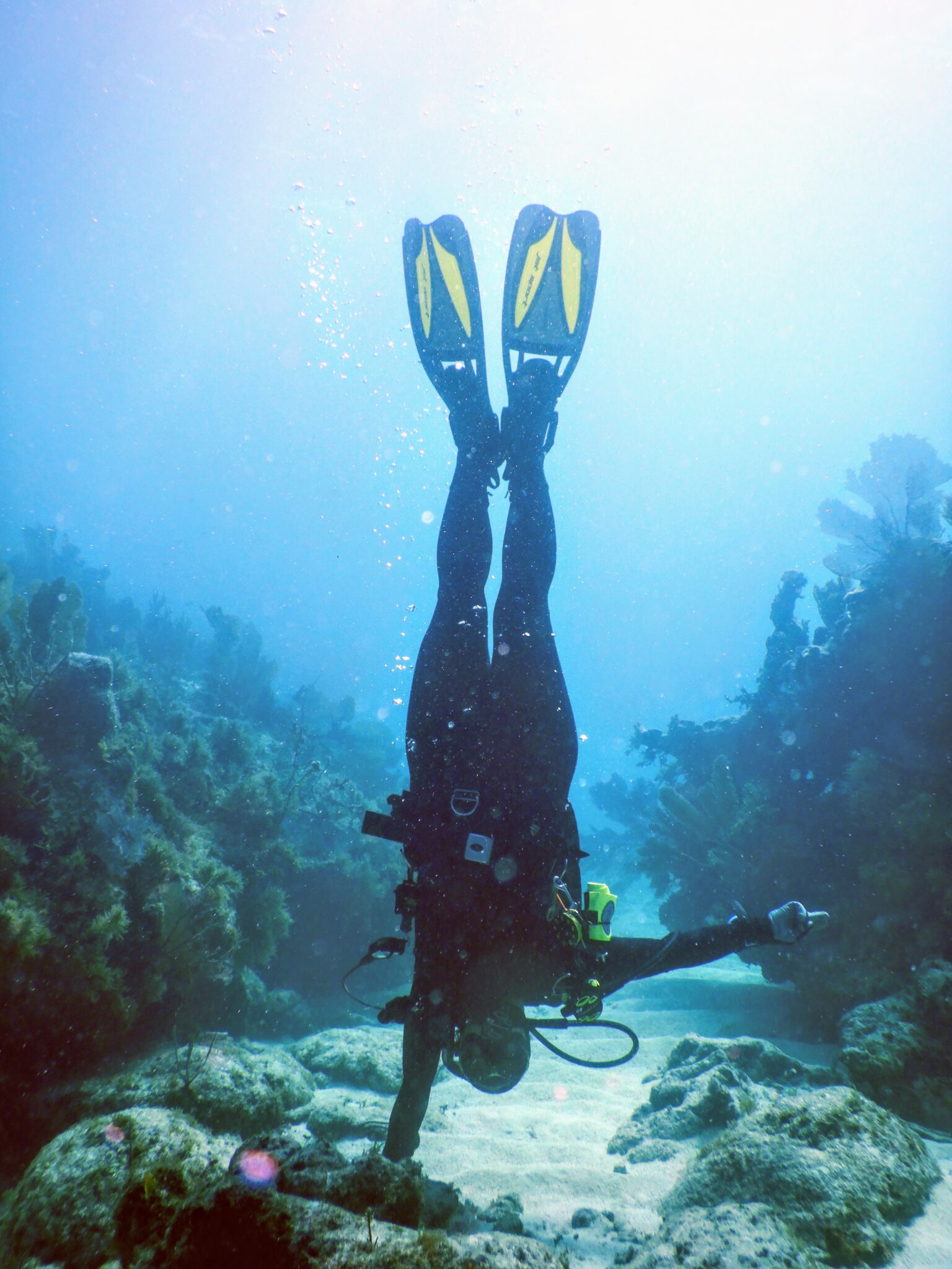 A diver does a one-handed handstand underwater, with her fins up.