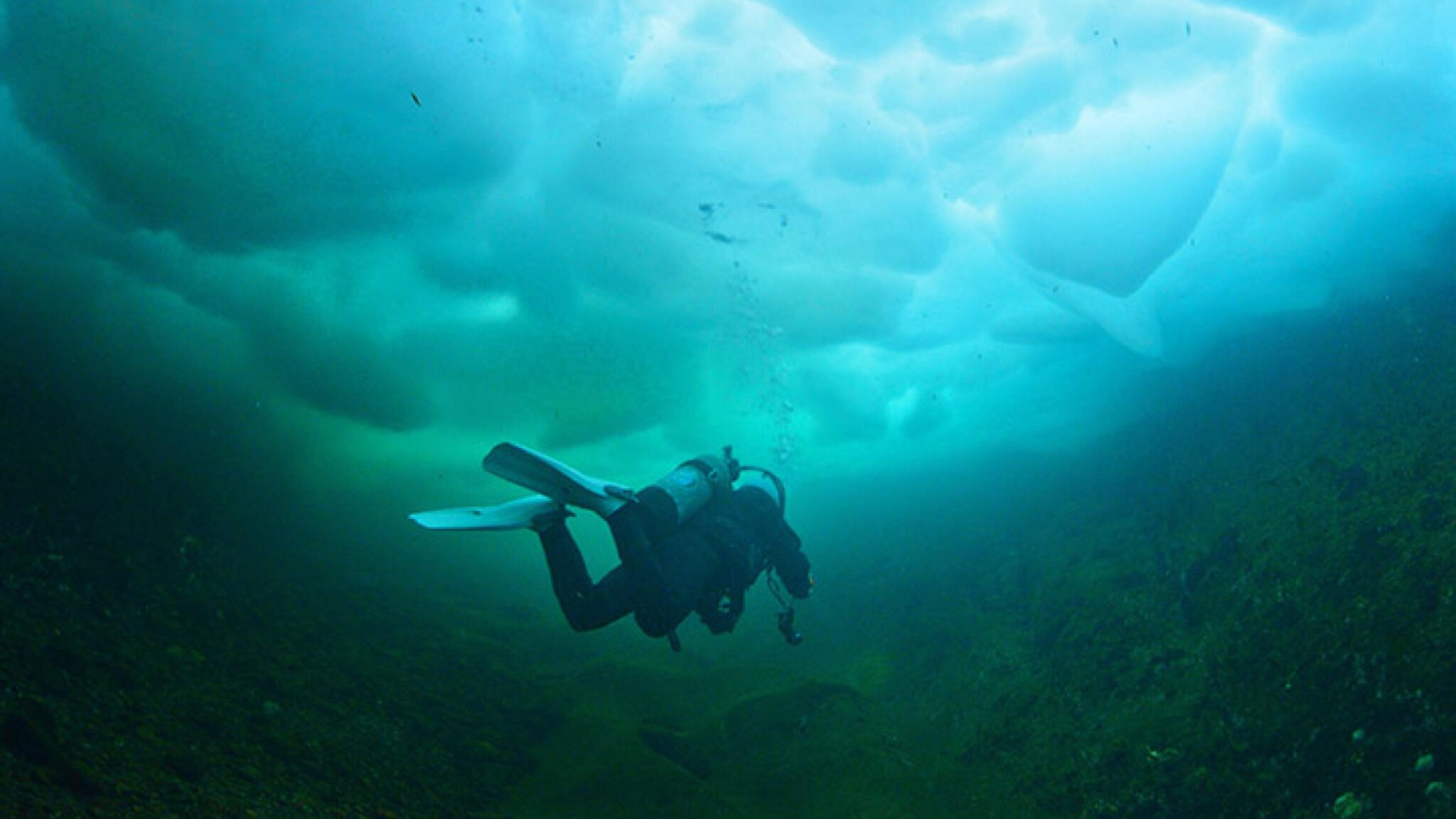 diving under ice