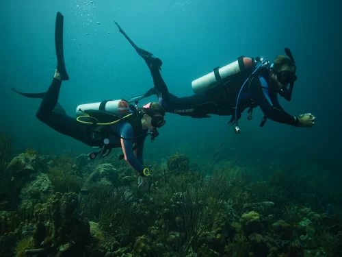 two divers swim underwater in Curacao using good trim
