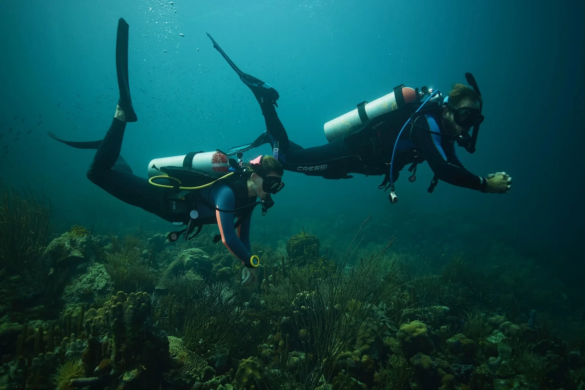 Zwei Taucher schwimmen auf Curaçao unter Wasser und haben dabei eine gute Trimmung