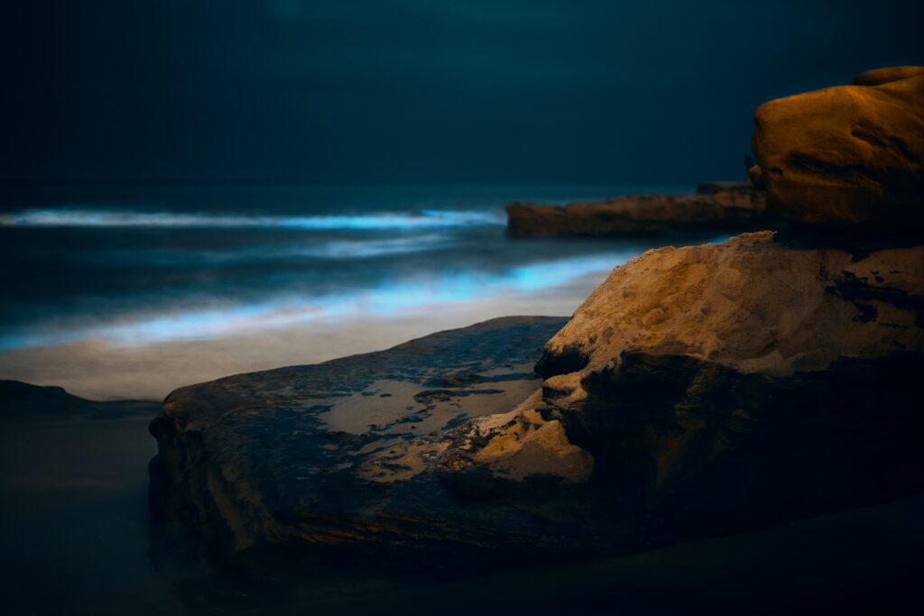 A shoreline glows at wavebreak thanks to bioluminescent dinoflagellates