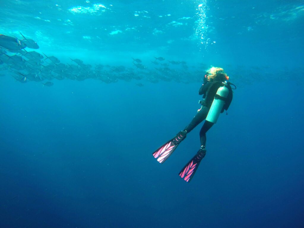 Why I’m Thankful for Diving