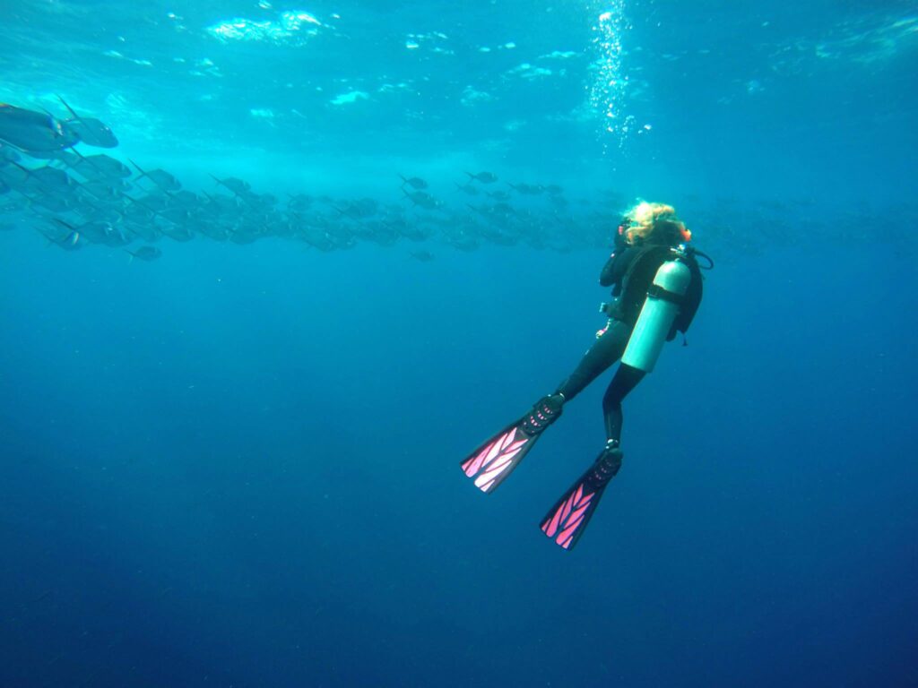 A diver photographs a ring of steel pompano fish.