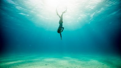 free diver quotation