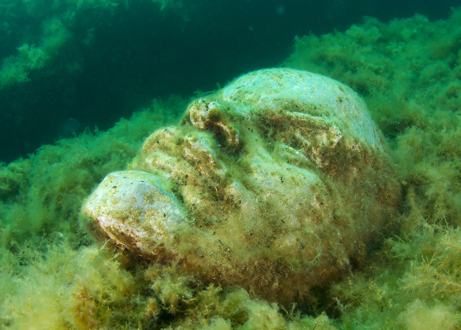 A bust of Lenin, one of 50 sculptures in the Alley of Leaders Underwater Museum in Cape Tarkhankut, Crimea