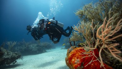 becoming a diver