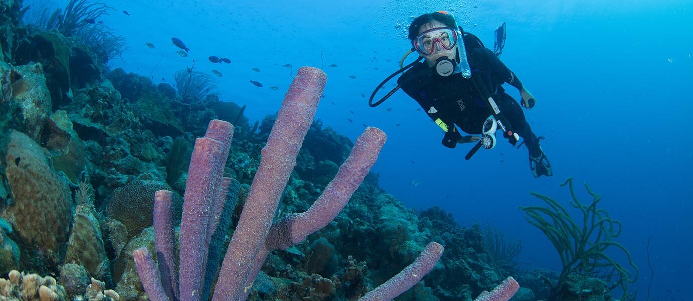 หลักสูตร Advanced Open Water Diver: 5 ได๊พ์เพื่อการพัฒนาทักษะ