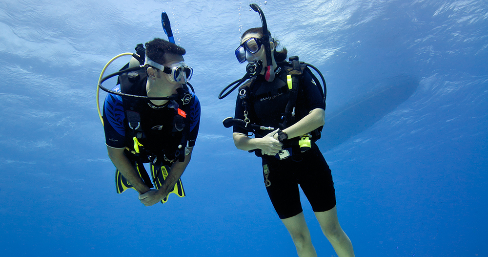 divers swimming alongside each other in the open ocean