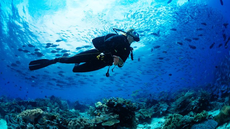 how to relax while diving