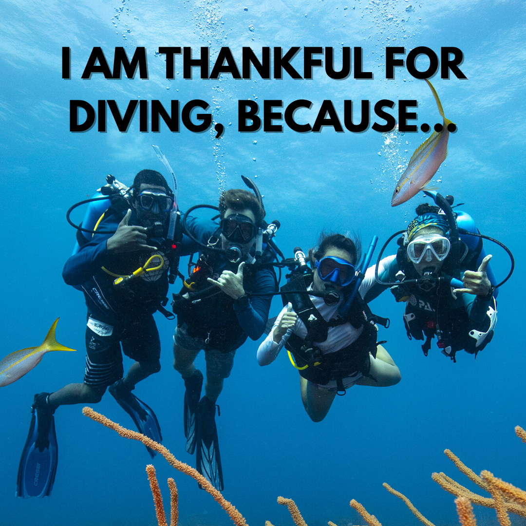 3 Merry Season Giveaways to Look Forward to on the PADI Social Channels