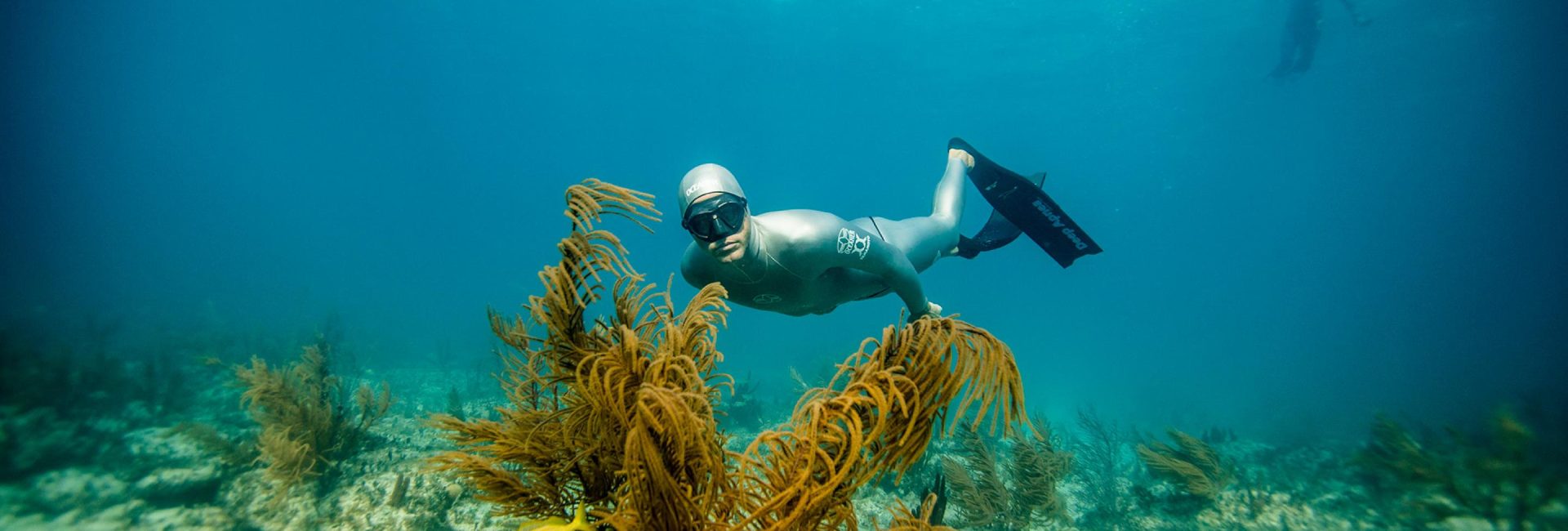 Freediving in East Asia – Our Top 3 Destinations