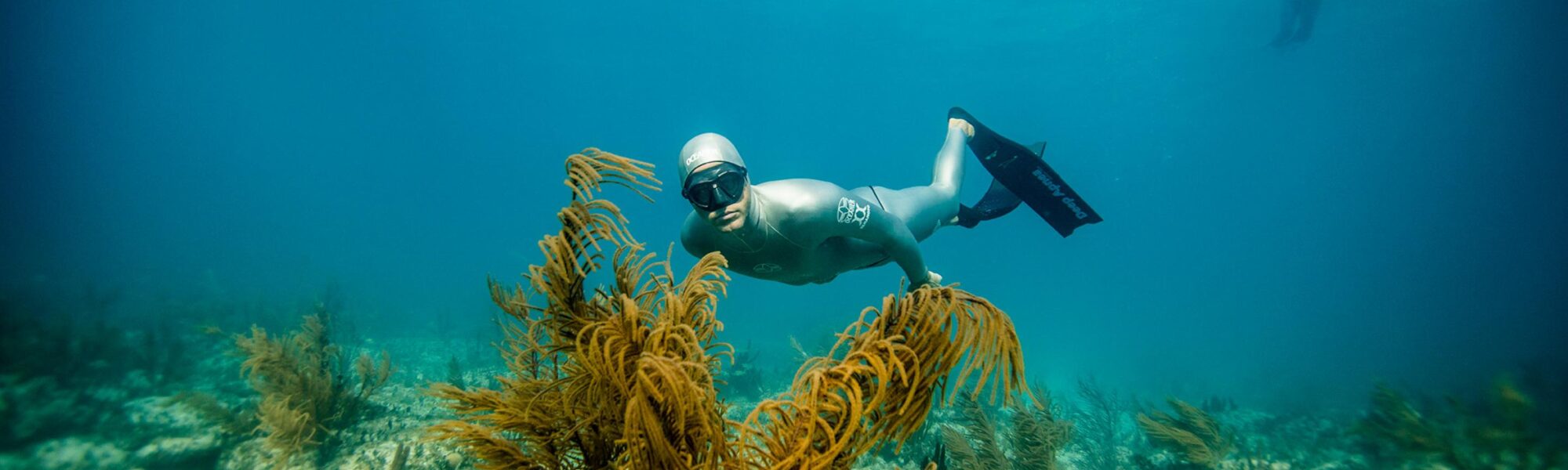 Freediving in East Asia – Our Top 3 Destinations