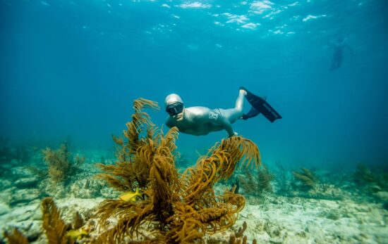 a freediver explores a coral reef