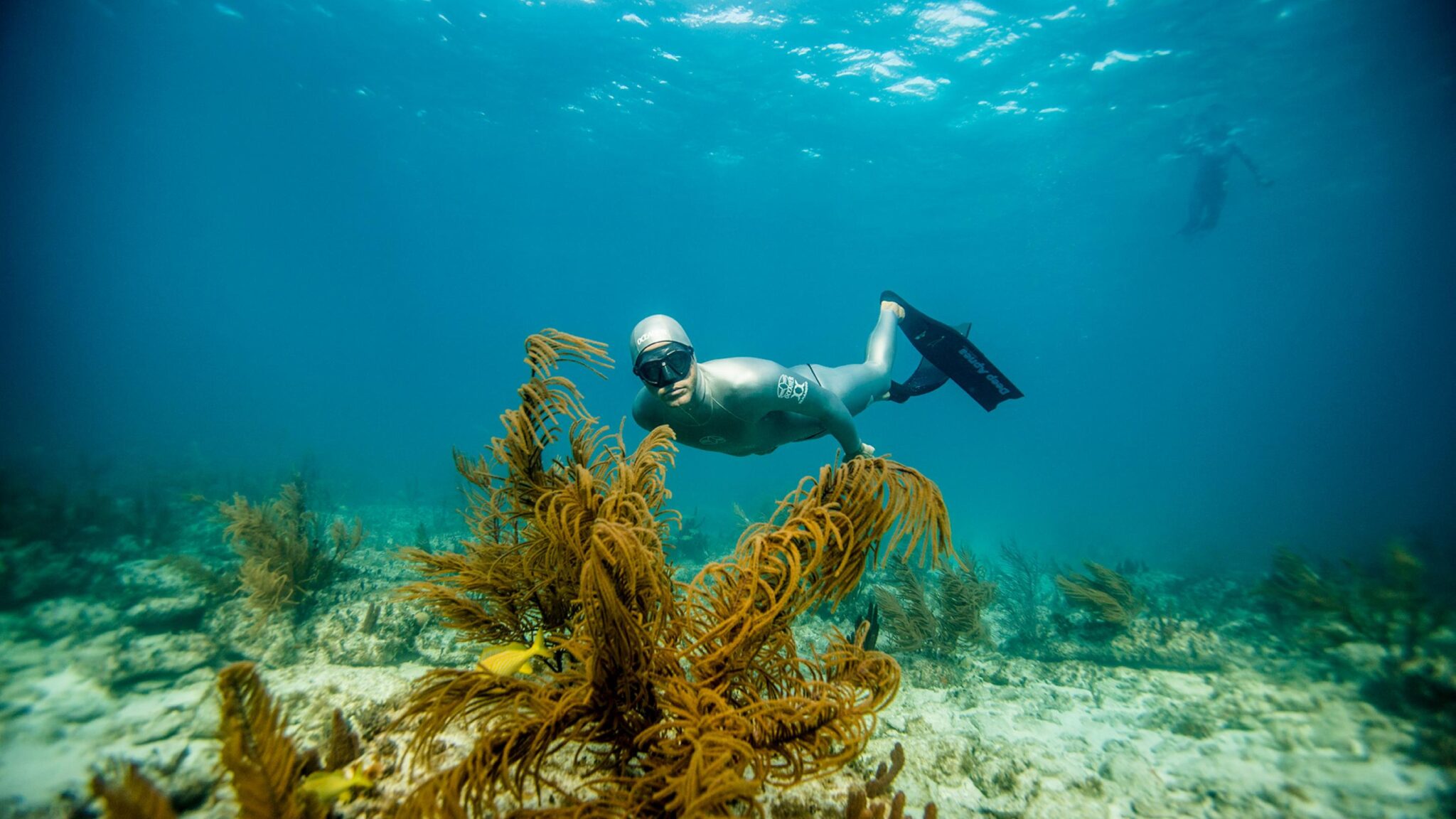 a freediver explores a coral reef