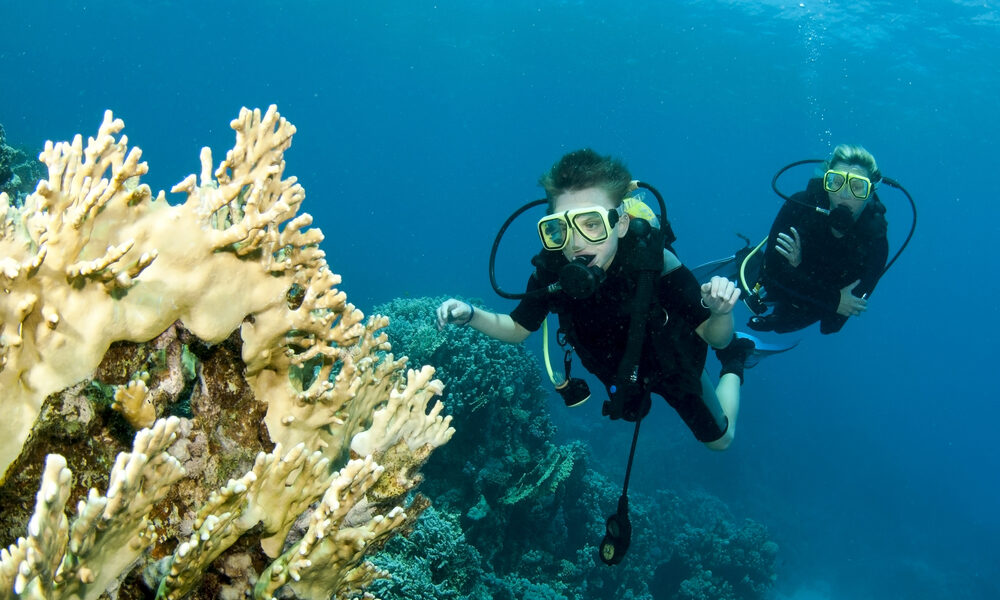 PADI 開放水域潛水員和進階開放水域潛水員有什麼區別?