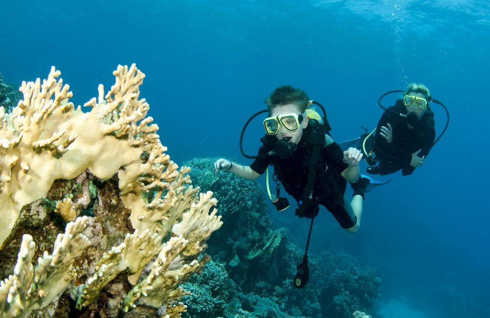 Wat is het verschil tussen PADI Open Water Diver en Advanced Open Water Diver?