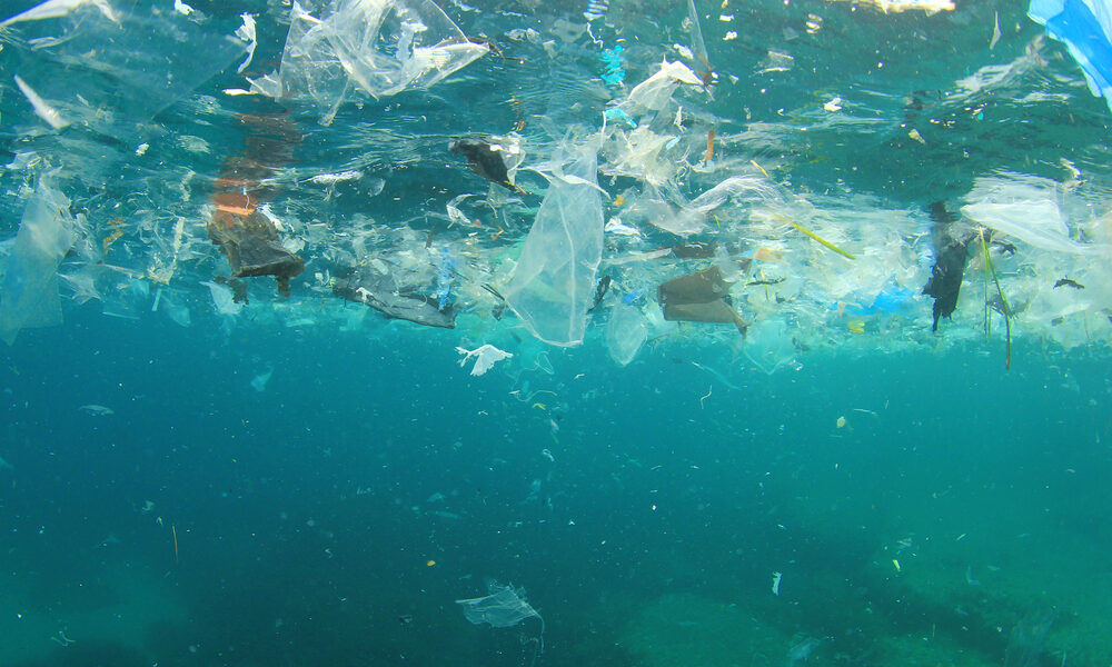 Les données de Dive Against Debris de AWARE alimentent une deuxième étude scientifique révolutionnaire