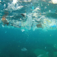 plastic in the ocean
