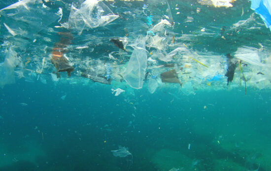 plastic in the ocean