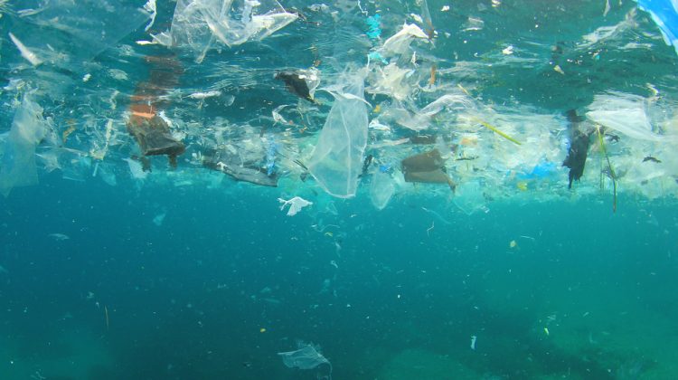 plastic in the ocean