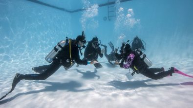 padi reactivate