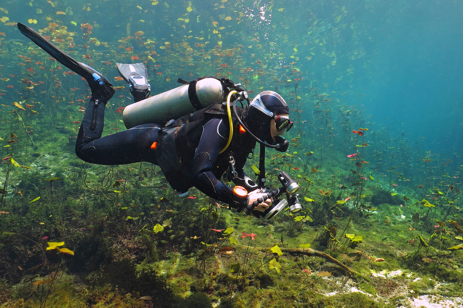 A diver holding an underwater camera hovers over the bottom