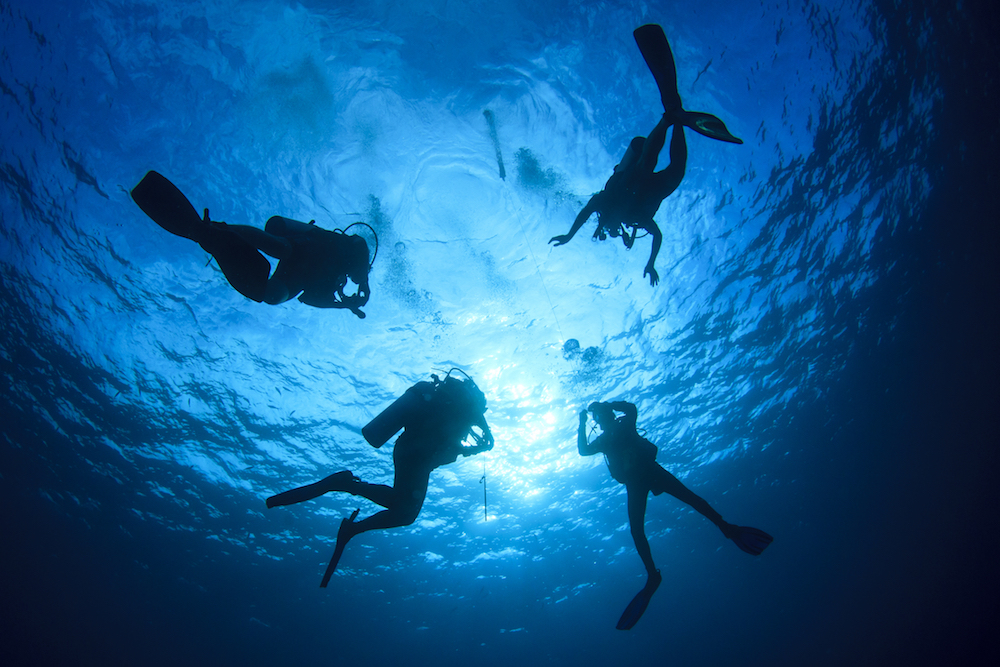 Four scuba divers complete a safety stop at the end of a dive since usually a rapid ascent is what causes the bends in divers