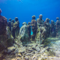 dream dives musa
