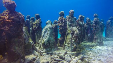 dream dives musa