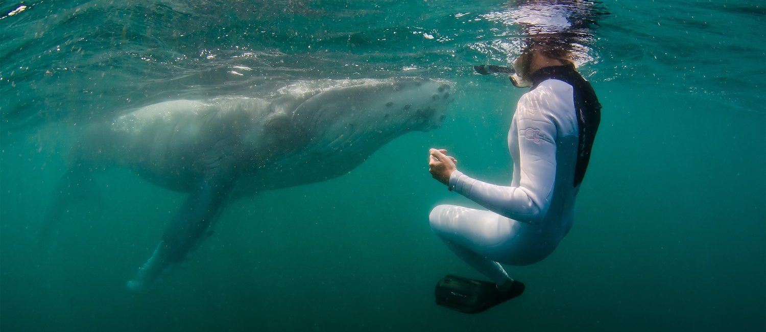 Marine Life Diving Adventures for PADI Torchbearers in 2022