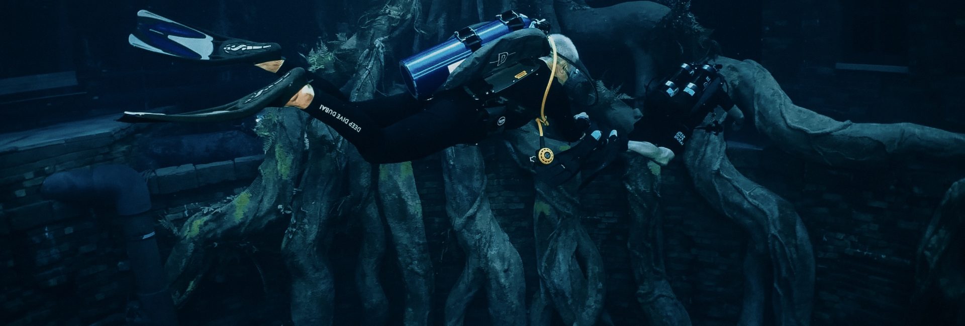 10 Reasons Why Deep Dive Dubai Should Be Your Next Diving Destination