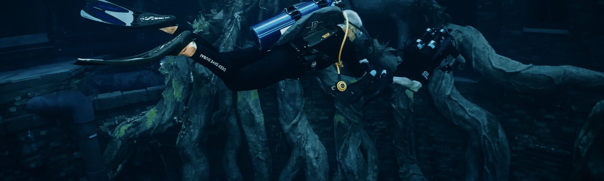 10 причин, по которым Deep Dive Dubai должен стать вашим следующим местом назначения