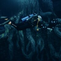 deep dive dubai ambassadiver diving