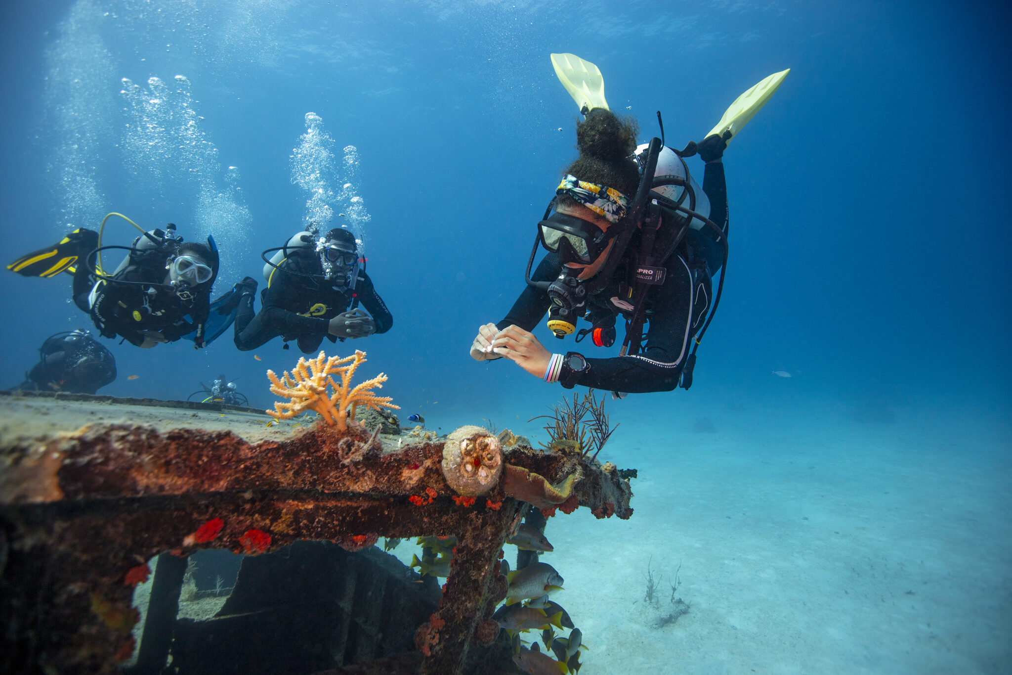 diversity in diving, divers underwater