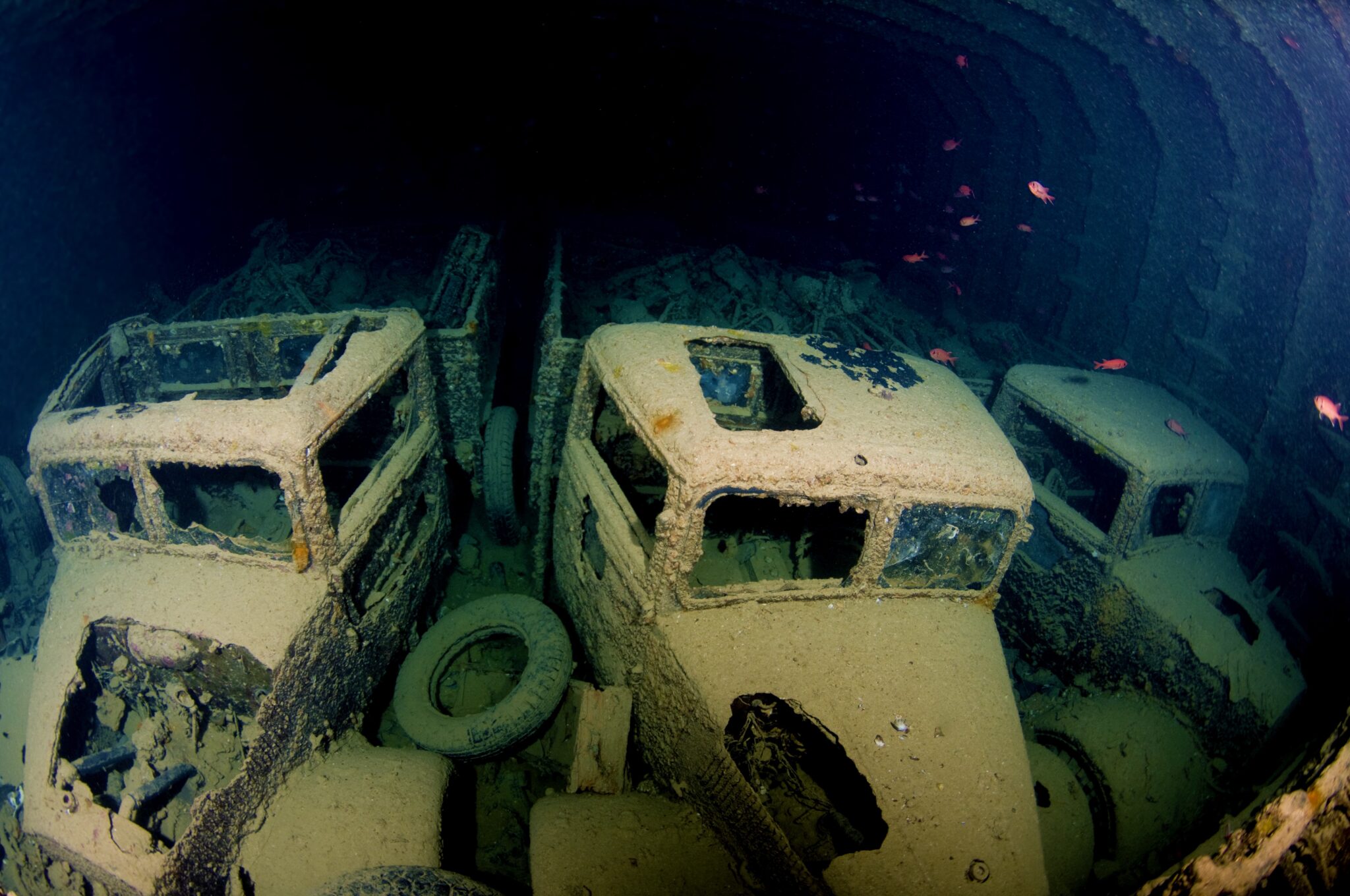 diving in sinai thistlegorm wreck