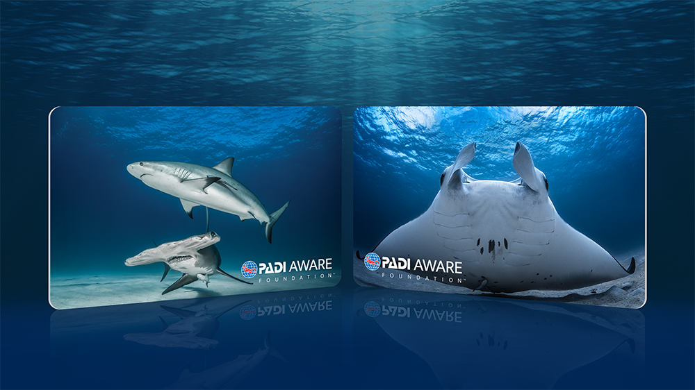 padi aware replacement cards