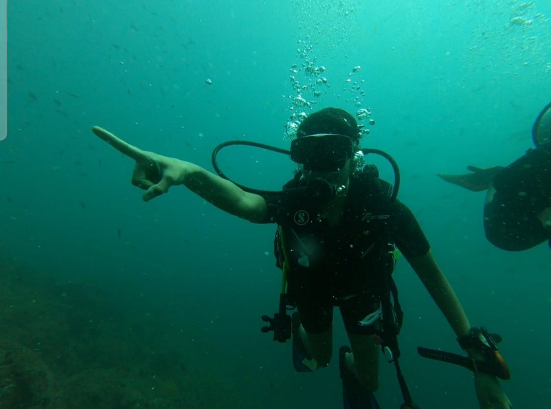 learning to dive in india