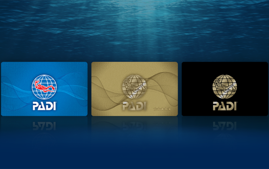 replacements for padi card