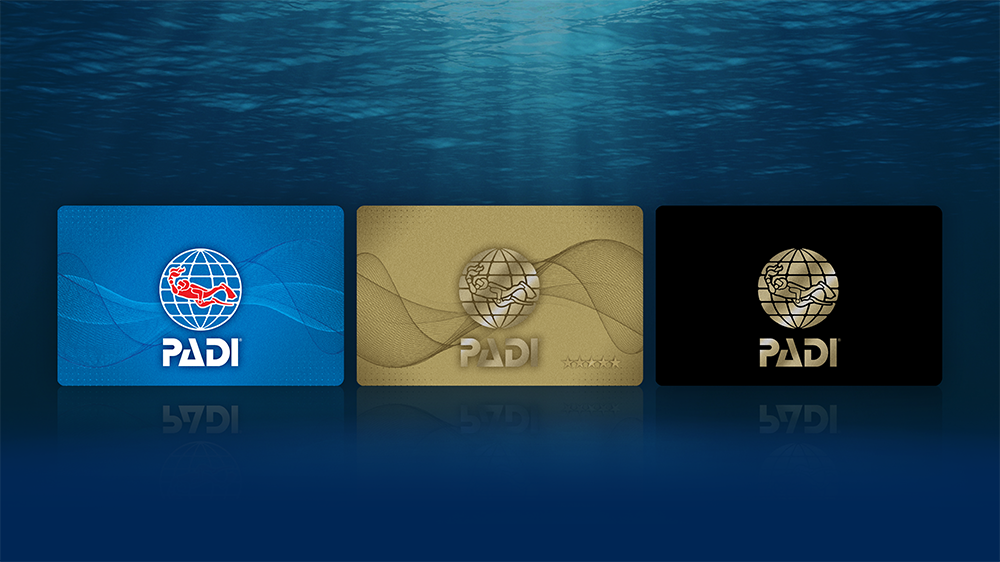 Three PADI certification card designs in blue, gold, and black, which can easily be replaced if you have a lost PADI card