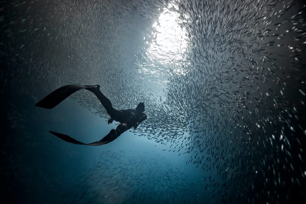 things you should never do after freediving