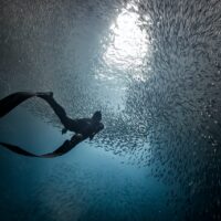things you should never do after freediving