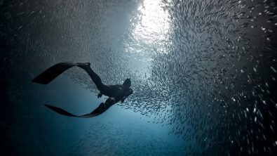 things you should never do after freediving