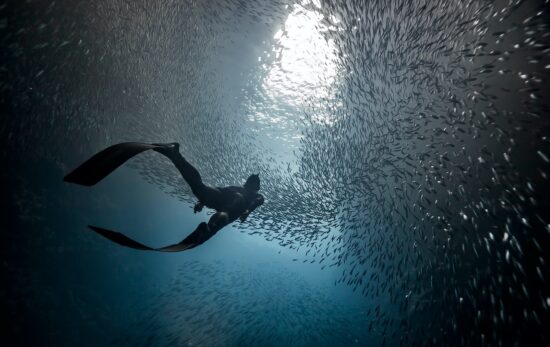 things you should never do after freediving