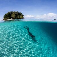 diving in the solomon islands