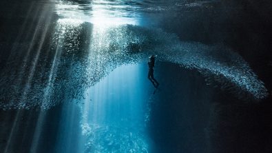 2022 padi ambassadivers