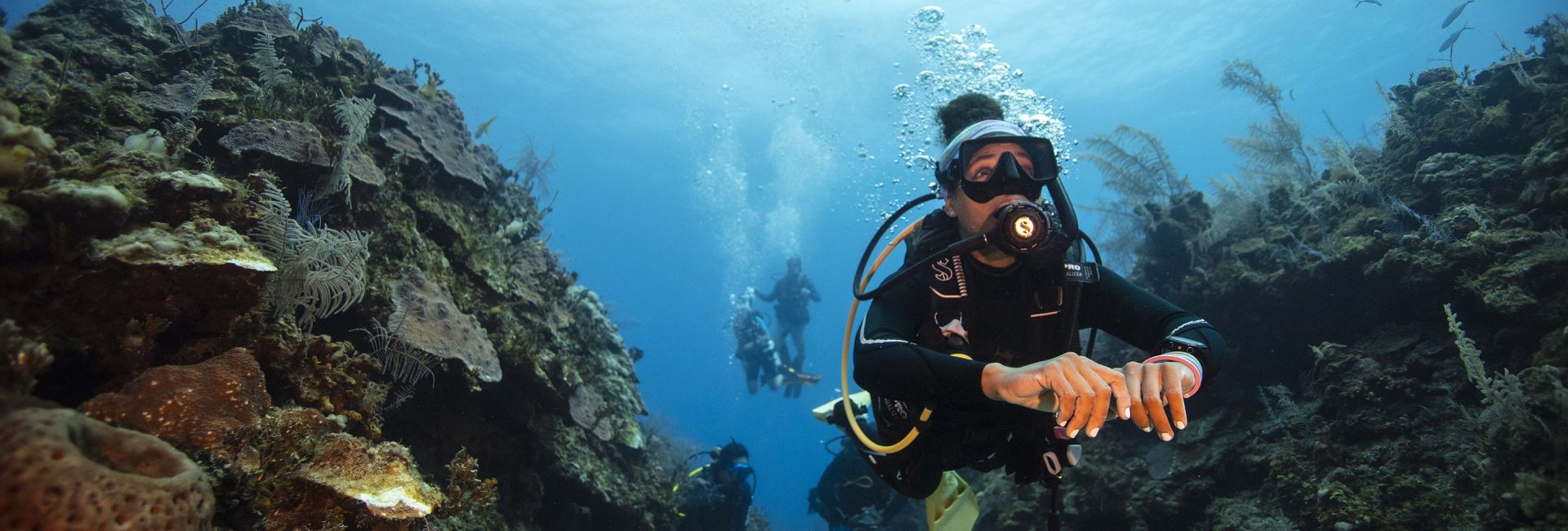 Diving into Black History Month