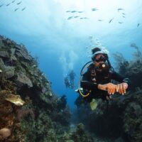 AlannahVellacott_PADIAmbassaDiver