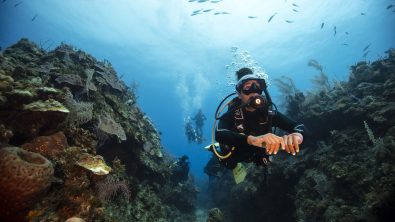 AlannahVellacott_PADIAmbassaDiver