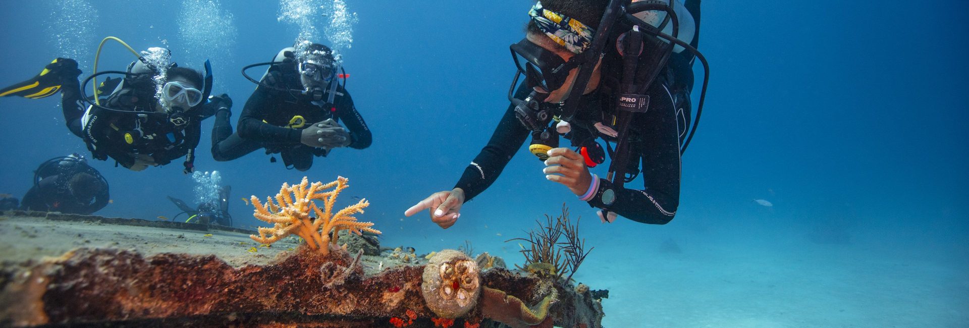 Saving the Ocean in 2022