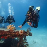 PADI Save the Ocean